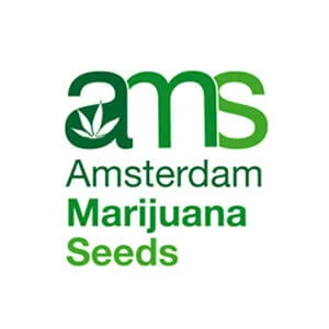 Save 10% on anything at  Amsterdam Marijuana Seeds