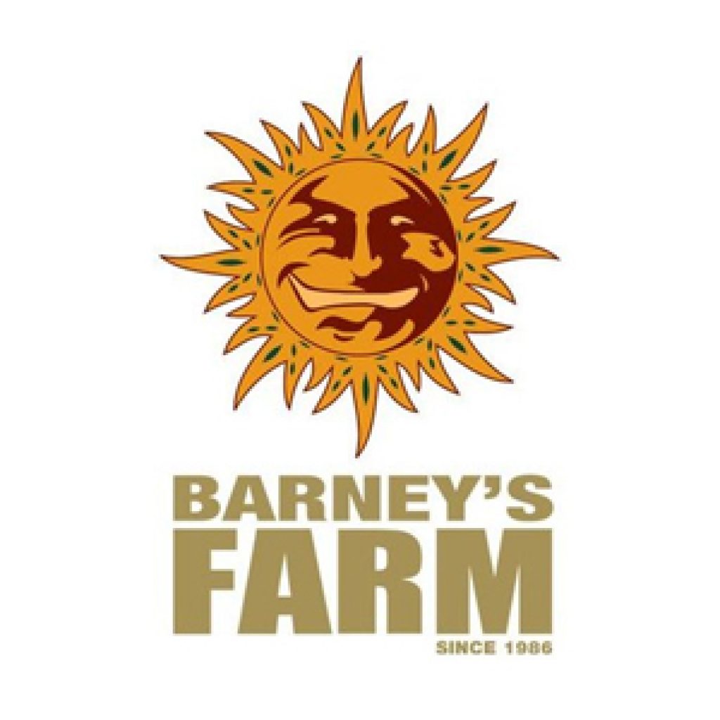 barneys farm deals
