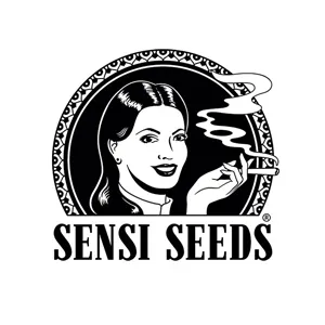 Save 50% on all cannabis seeds at Sensi Seeds