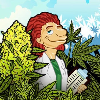 Get up to 5 FREE Expert Seeds at Herbies Seeds
