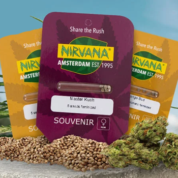 Save 25% on all Nirvana Seeds at Zamnesia