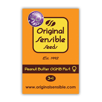 Peanut Butter OGKB Fast 14-pack - $32.70 at  Original Seed Store