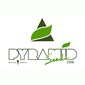 Get FREE seeds with Pyramid Seeds at The Vault