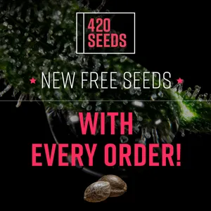 Choose from a new range of free seeds at 420 Seeds
