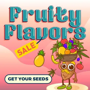 Fruity Flavors - Buy 10 Get 10 FREE at  Amsterdam Marijuana Seeds