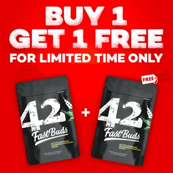 Buy 1 Get 1 FREE on EVERYTHING at 2Fast4Buds.com
