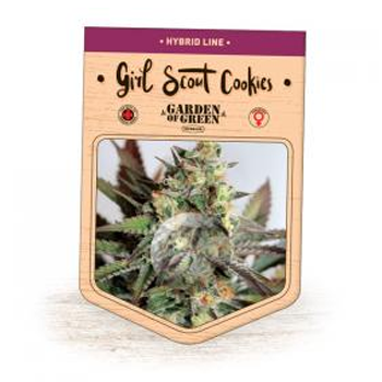 Save 15% on Girl Scout Cookies fem seeds at  The Vault
