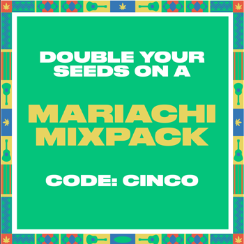 Buy 1 Get 1 FREE Mariachi Mix Packs at  Homegrown Cannabis Co