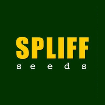 Save 50% on Spliff Seeds Mix Packs at  Original Seed Store
