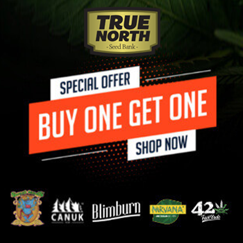 Top brand auto seeds - Buy 1 Get 1 FREE at  True North Seedbank