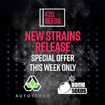 Save 20% on new strain releases at 420 Seeds
