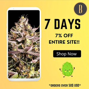 Save an extra 7% when you spend $50 at  Blimburn Seeds