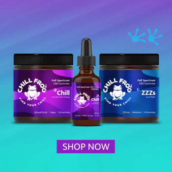 Buy Chill CBD, get 50% off ZZZ's Gummies at Chill Frog CBD