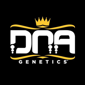Get free seeds with DNA Genetics at The Vault