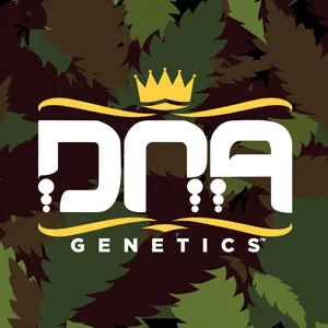 20% Off DNA Genetics @ Seed City