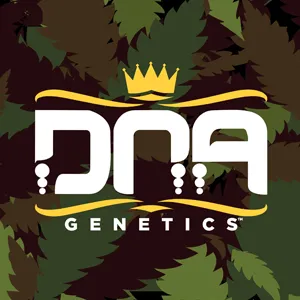 Save 25% on all DNA Genetics seeds at True North Seedbank