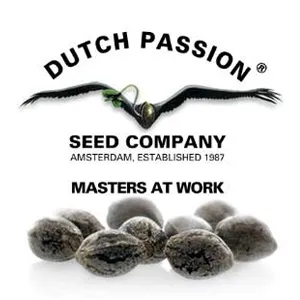 Save 15% on Dutch Passion at Seed City