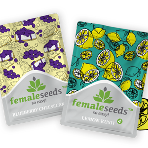 Get freebies with Female Seeds at The Vault