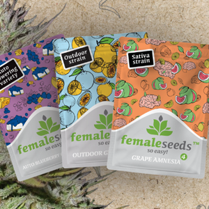 Grab some freebies with Female Seeds at Herbies Seeds