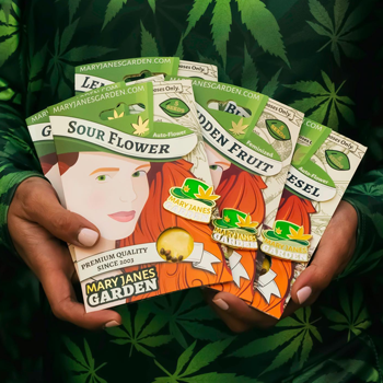 Get 10 free cannabis seeds at Mary Jane's Garden