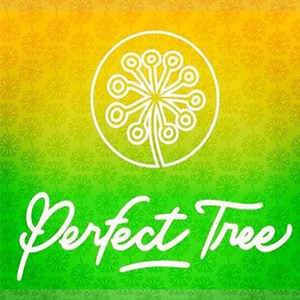 Save 10% on Perfect Tree Seeds at Seedsman