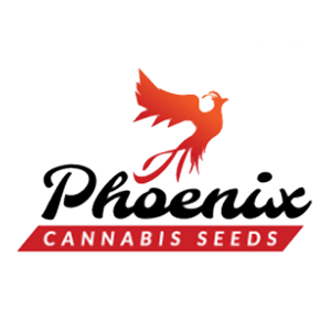 Phoenix Seeds - Buy 10 Get 5 FREE at The Vault
