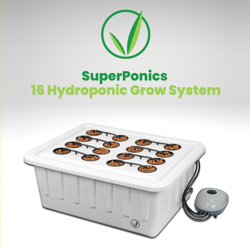 Save 10% on all Superponics hydro systems at SuperCloset