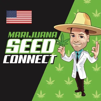 Save 10% on all marijuana seeds at The Seed Connect