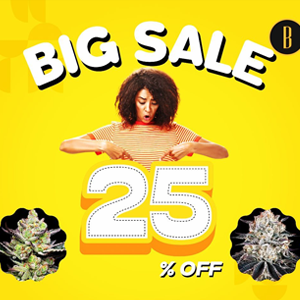 Save 25% on your lowest price pack at  Blimburn Seeds