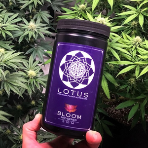 Save 10% on Lotus Nutrients at  Growers House