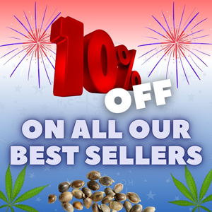 Save 10% on bestselling cannabis seeds at Rocket Seeds