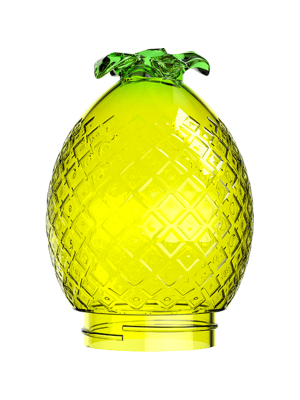 web Kompact Pineapple Front