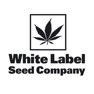 50% Off White Label Seeds @ Sensi Seeds