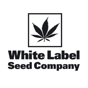 Save 50% on all white label seeds at  Sensi Seeds