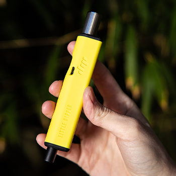 Save 10% on Yellow Little Dippers at Dip Devices