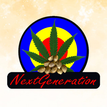 Save 50% on Next Generation Seeds at  Seed City