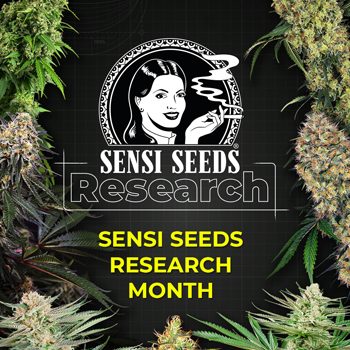 Save 35% on all Research Strains at Sensi Seeds