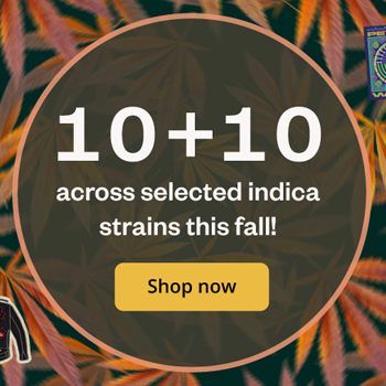 Indica strains - buy 10 get 10 free at  Seedsman