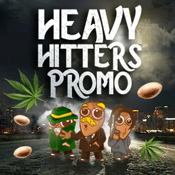 Heavy Hitters - BOGOF at Amsterdam Marijuana Seeds