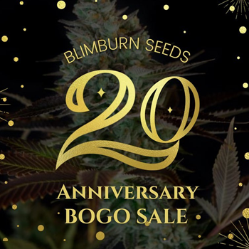 20th Anniversary BOGO Sale at  Blimburn Seeds