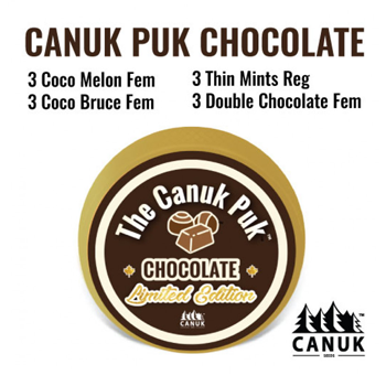 Canuk Puk Chocolate - BOGOF at  Canuk Seeds