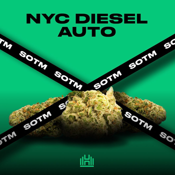 NYC Diesel Auto - BOGOF at  Homegrown Cannabis Co