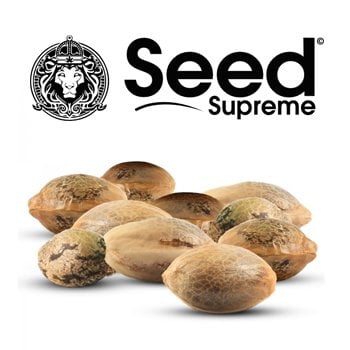 Get 10 FREE fem seeds at SeedSupreme