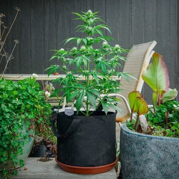 Get 20% off any  spend at A Pot For Pot