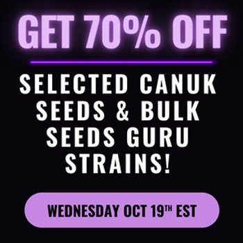 Save 70% on selected strains at  Canuk Seeds