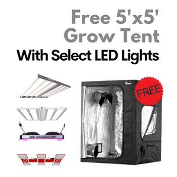 FREE 5x5 Grow Tent with Select LED Lights at  Growers House
