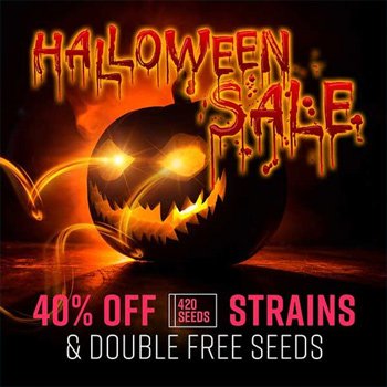 Get 40% off + double free seeds at 420 Seeds