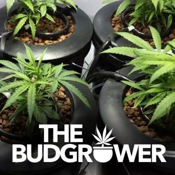 Save 10% on hydroponic grow kits at TheBudGrower