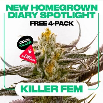 Get 4 FREE Killer fems at  Homegrown Cannabis Co