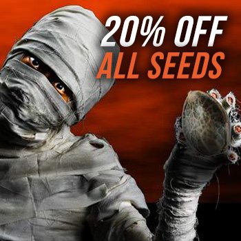 Get 20% off all cannabis seeds at  MSNL